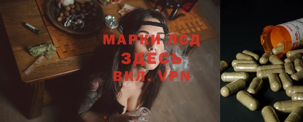 а пвп мука Алзамай
